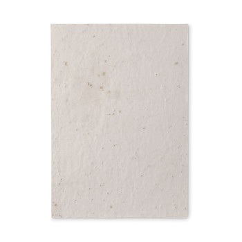 ASIDE - Foglio A5 in carta con semi
