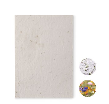 ASIDE - Foglio A5 in carta con semi
