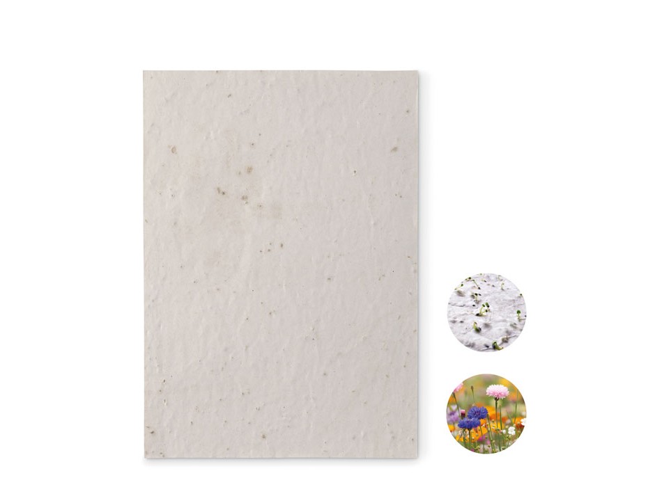 ASIDE - Foglio A5 in carta con semi