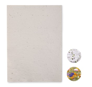 ASIDI - Foglio A4 in carta con semi