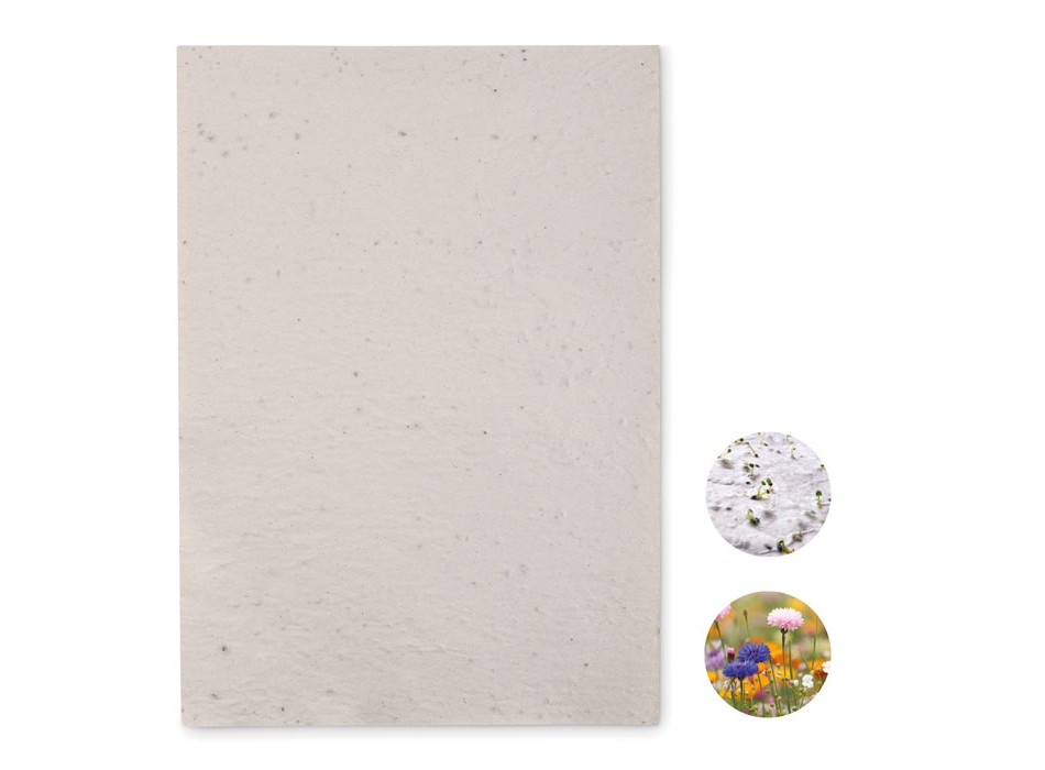 ASIDI - Foglio A4 in carta con semi