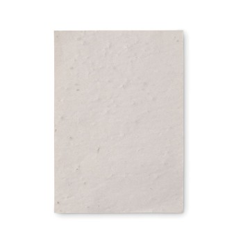 ASIDO - Foglio A6 in carta con semi