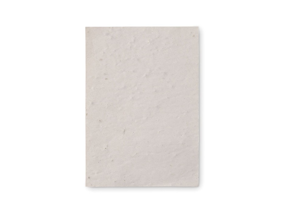 ASIDO - Foglio A6 in carta con semi