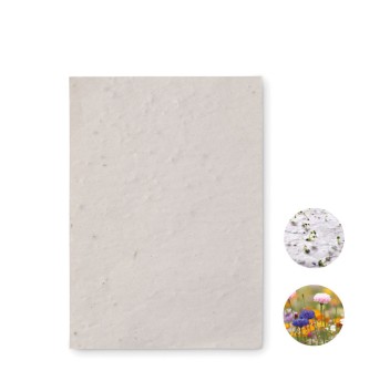 ASIDO - Foglio A6 in carta con semi