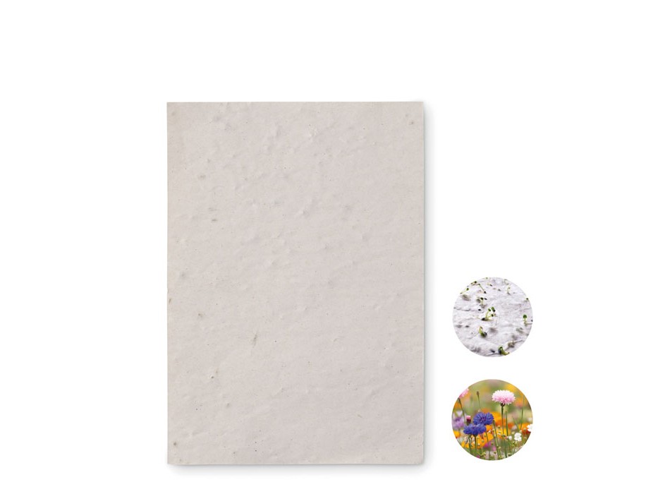 ASIDO - Foglio A6 in carta con semi