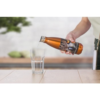 Borraccia in acciaio inox, singola parete, capacità 650 ml Sumatra