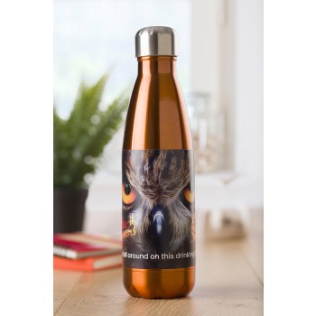 Borraccia in acciaio inox, singola parete, capacità 650 ml Sumatra