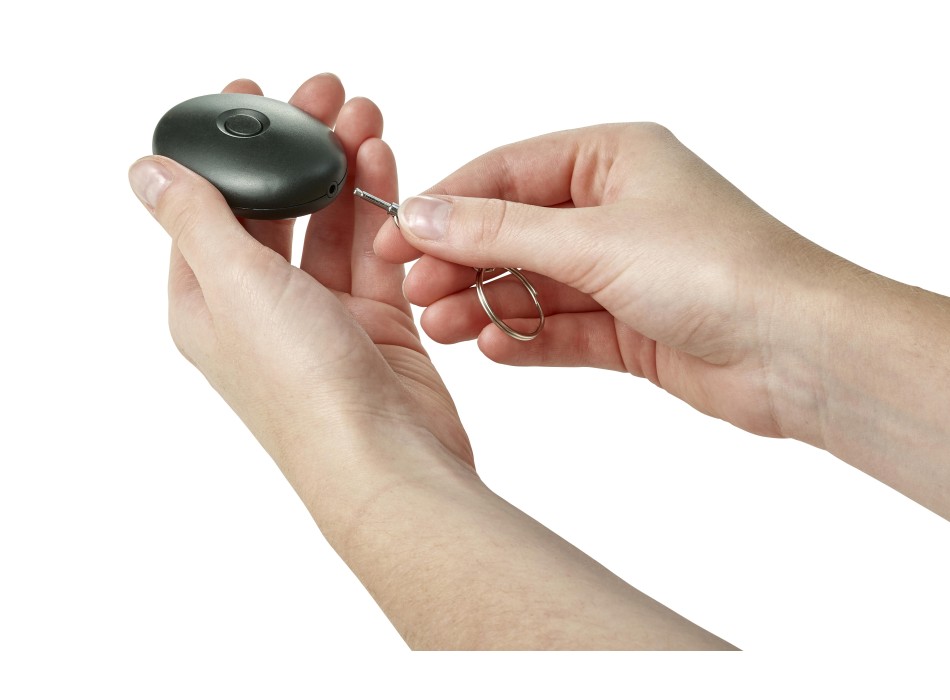 Cerca chiavi, in ABS Harold