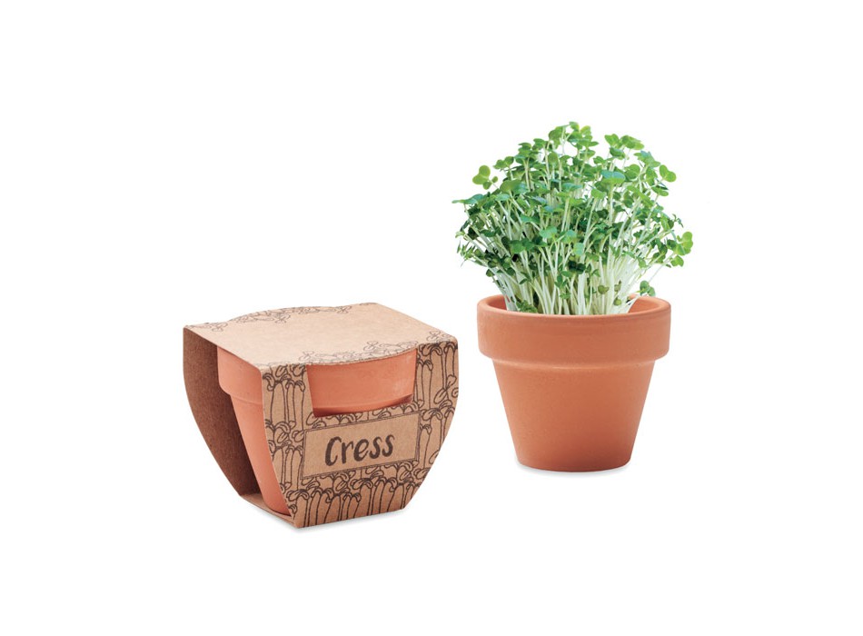CRESS POT - Semi di crescione in vaso