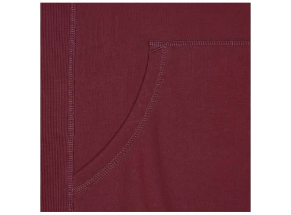 Felpa con cappuccio e cerniera da unisex da 300 g/m² Arora