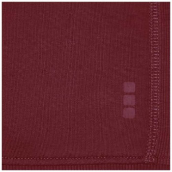 Felpa con cappuccio e cerniera da unisex da 300 g/m² Arora