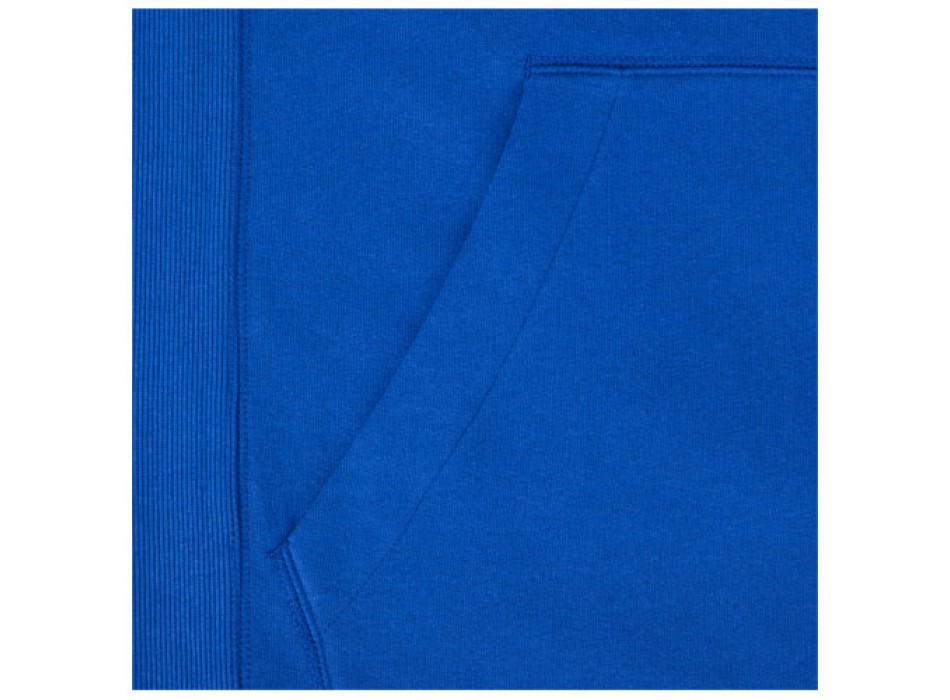 Felpa con cappuccio unisex da 300 g/m² Arora
