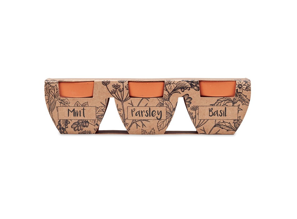FLOWERPOT - Set di erbe in terracotta