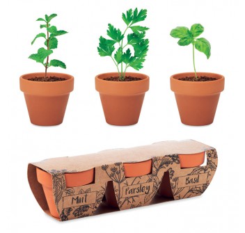 FLOWERPOT - Set di erbe in terracotta