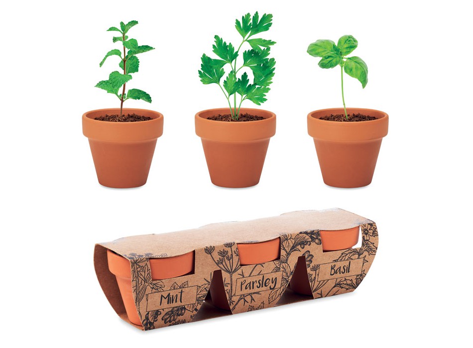 FLOWERPOT - Set di erbe in terracotta