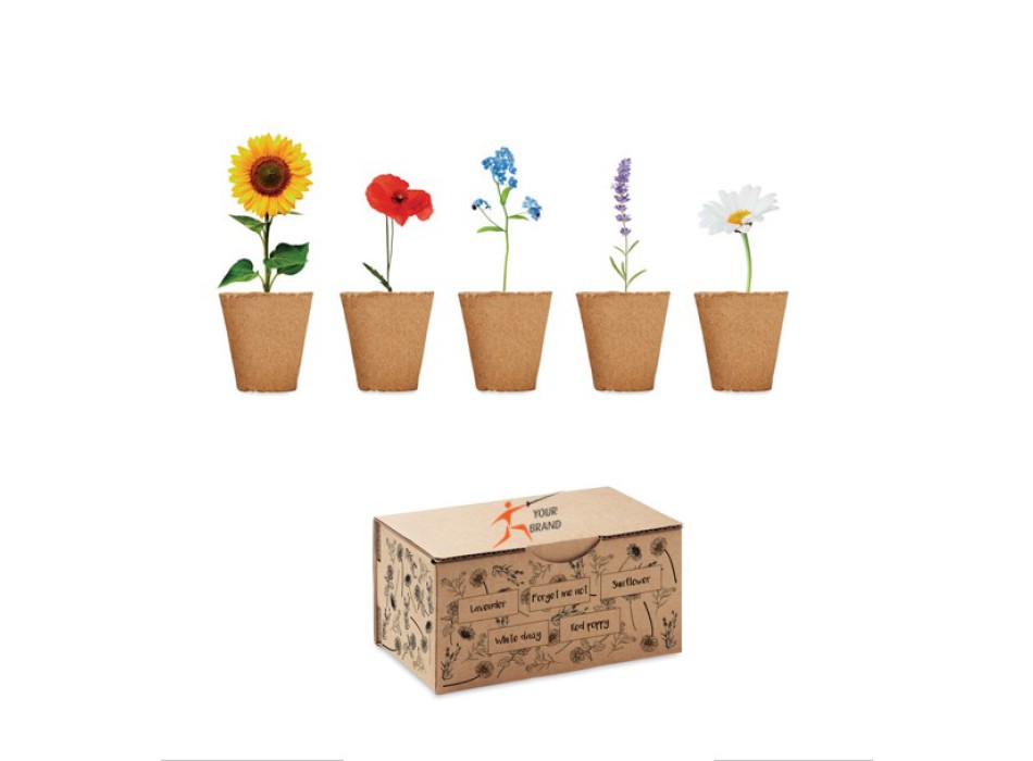 FLOWERS - Kit per coltivare fiori