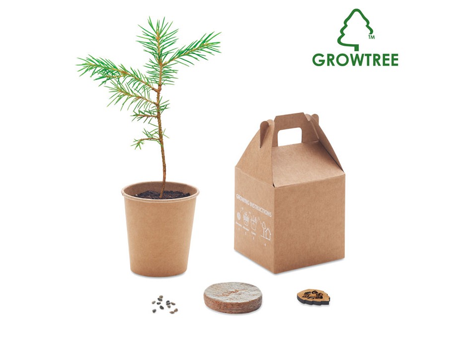 GROWTREE™ - Set in legno di pino