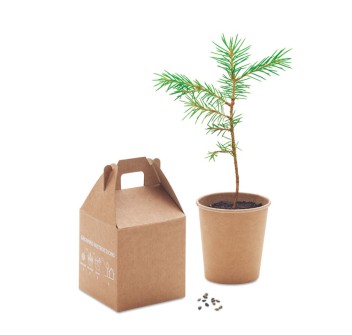 GROWTREE™ - Set in legno di pino