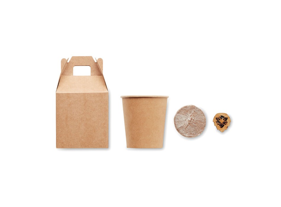 GROWTREE™ - Set in legno di pino