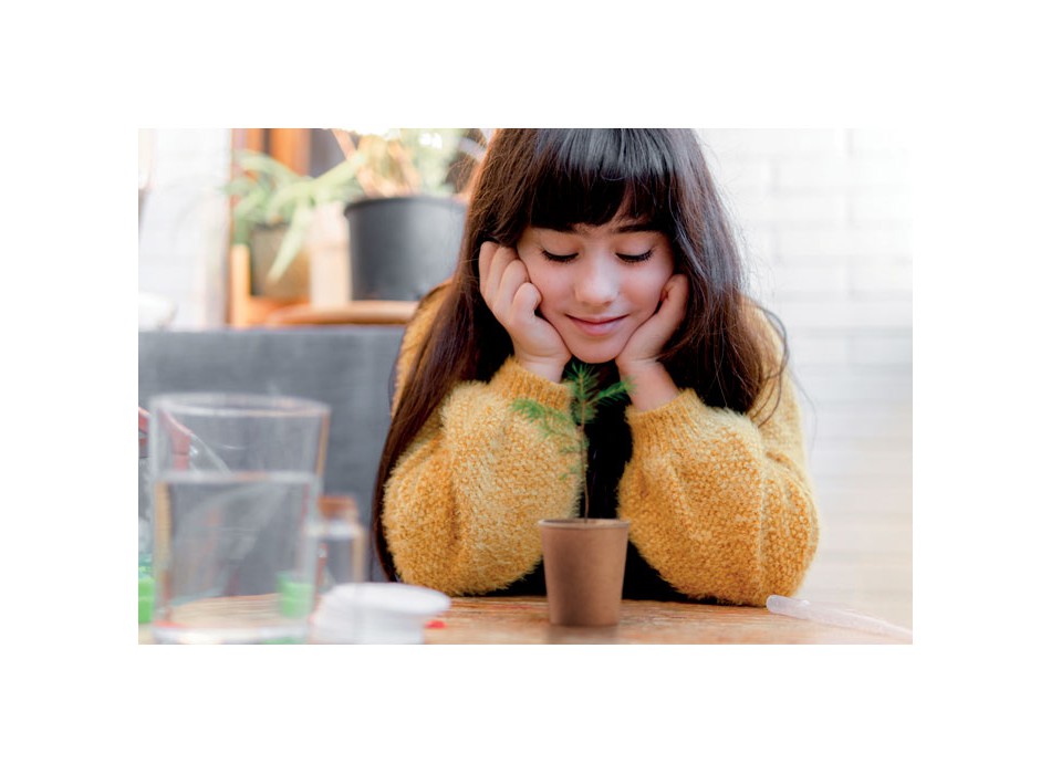 GROWTREE™ - Set in legno di pino