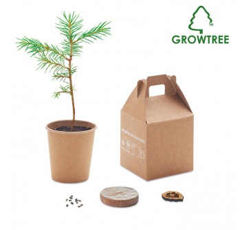 GROWTREE™ - Set in legno di pino