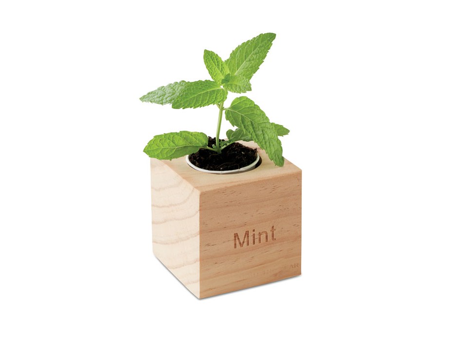 MENTA - Mini vaso in legno