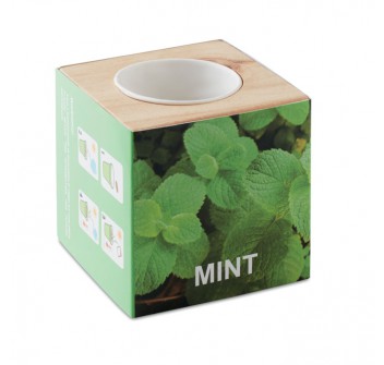 MENTA - Mini vaso in legno