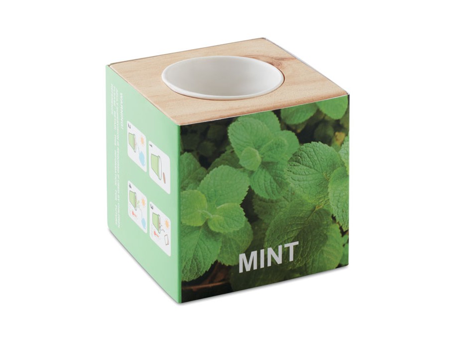 MENTA - Mini vaso in legno