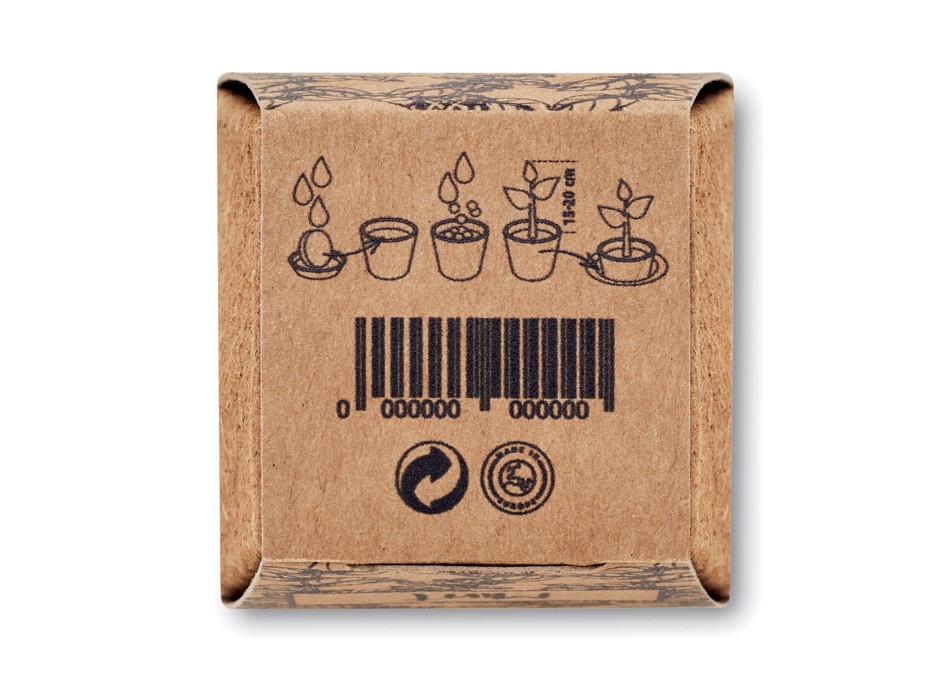 MINT KIT - Kit per la coltivazione di semi di