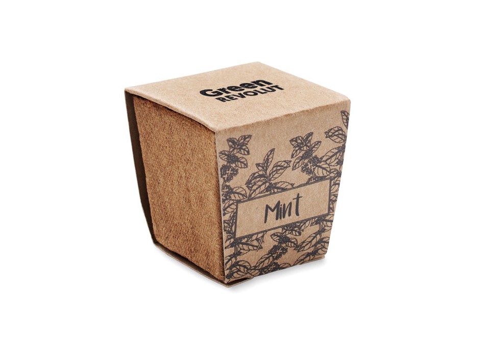 MINT KIT - Kit per la coltivazione di semi di