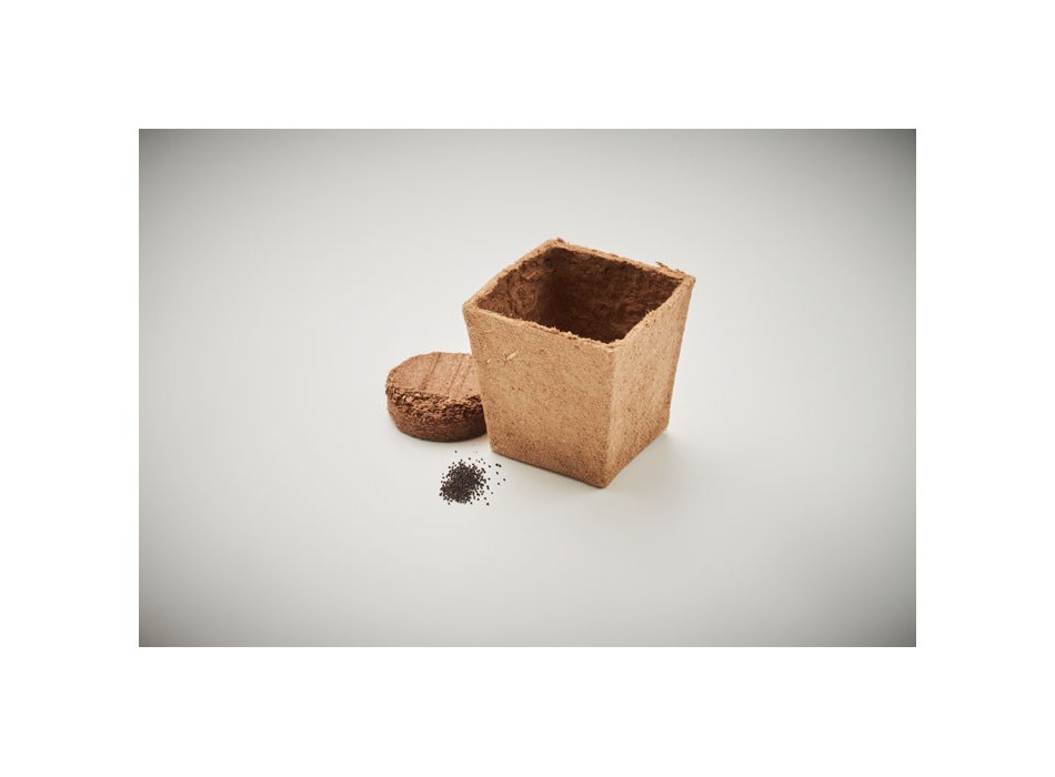 MINT KIT - Kit per la coltivazione di semi di