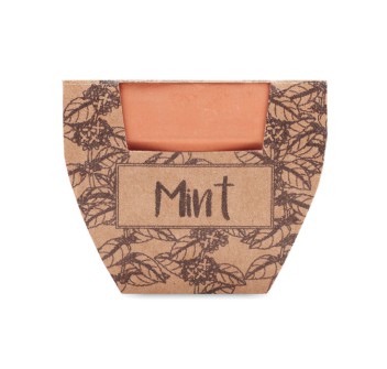 MINT POT - Semi di menta in vaso