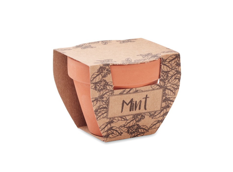 MINT POT - Semi di menta in vaso