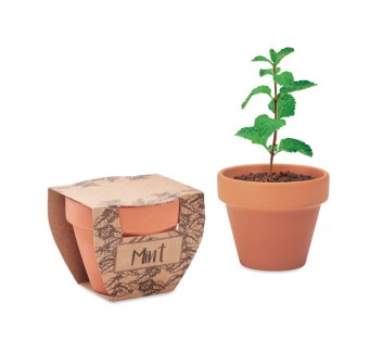 MINT POT - Semi di menta in vaso