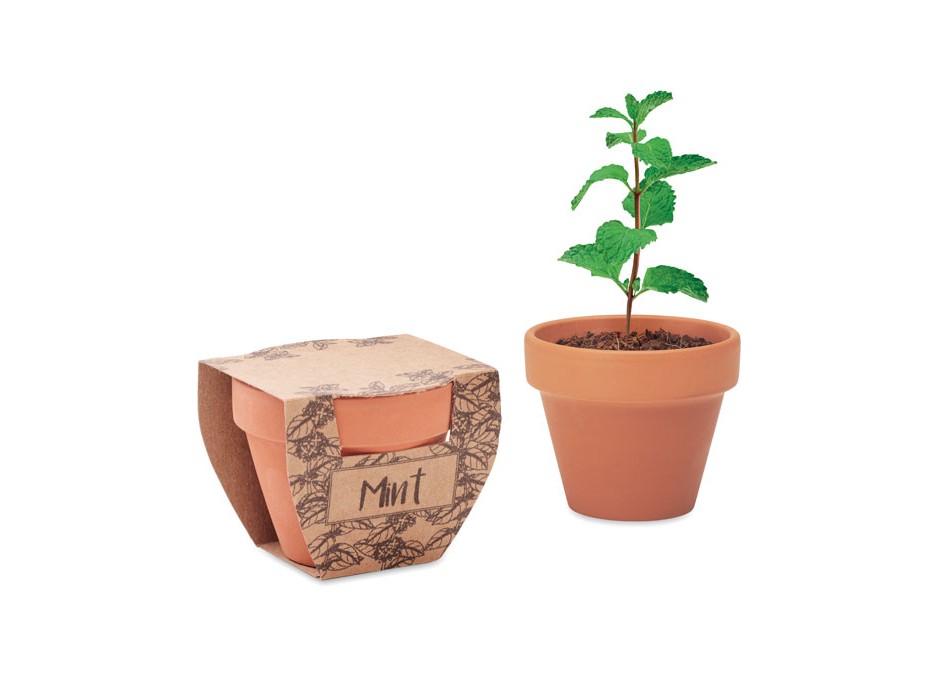MINT POT - Semi di menta in vaso