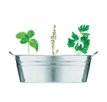 MIX SEEDS - Vaschetta con 3 semi di erbe