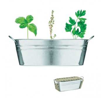 MIX SEEDS - Vaschetta con 3 semi di erbe
