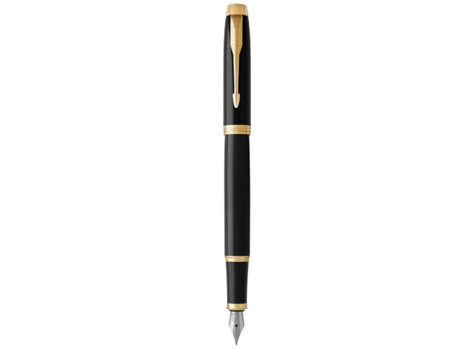 Parker penna stilografica IM (inchiostro blu)
