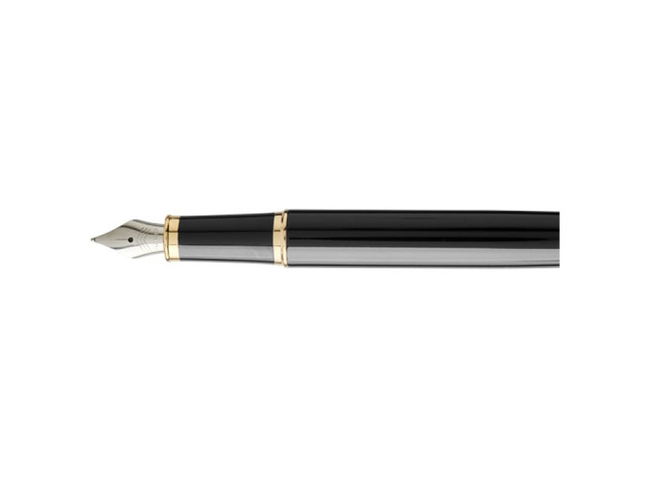 Parker penna stilografica IM (inchiostro blu)