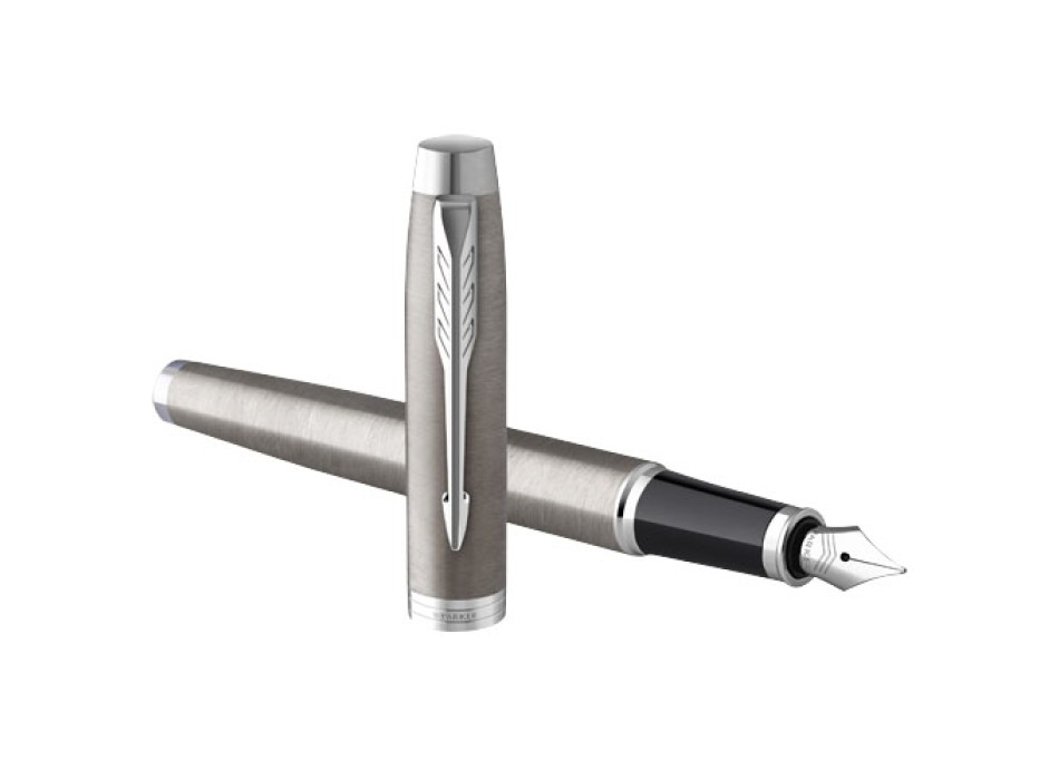 Parker penna stilografica IM (inchiostro blu)