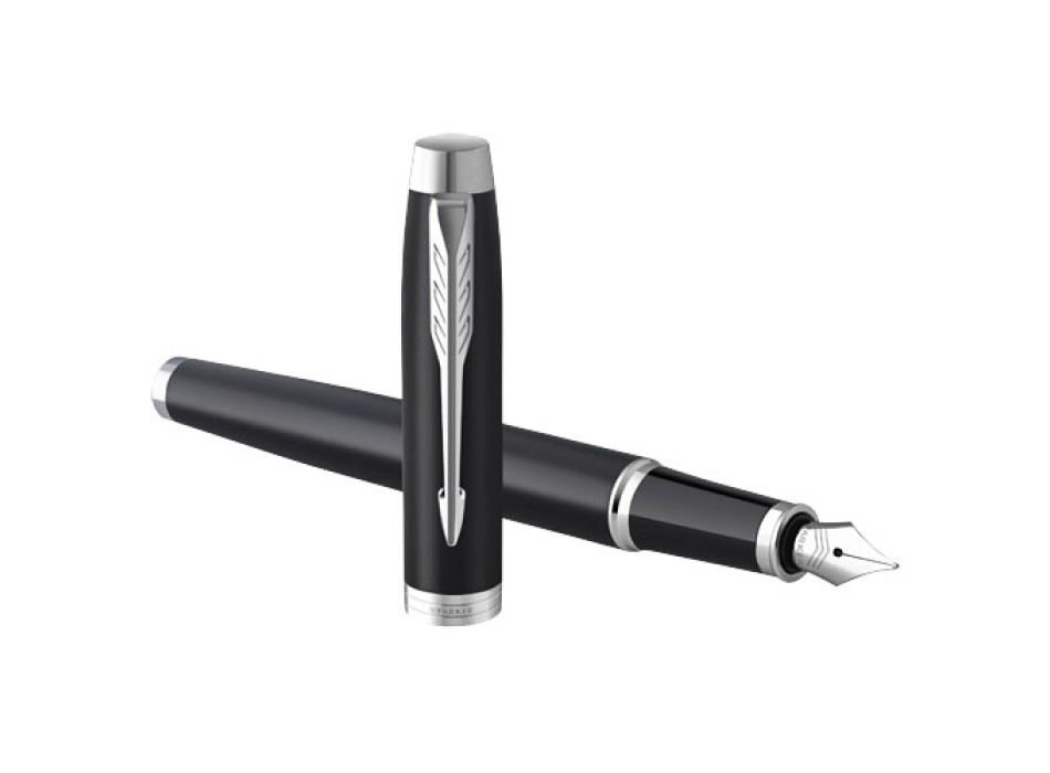 Parker penna stilografica IM (inchiostro blu)