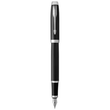 Parker penna stilografica IM (inchiostro blu)
