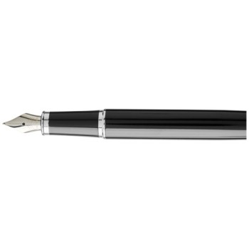 Parker penna stilografica IM (inchiostro blu)
