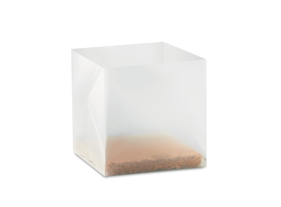 PARSELY - Semi di prezzemolo