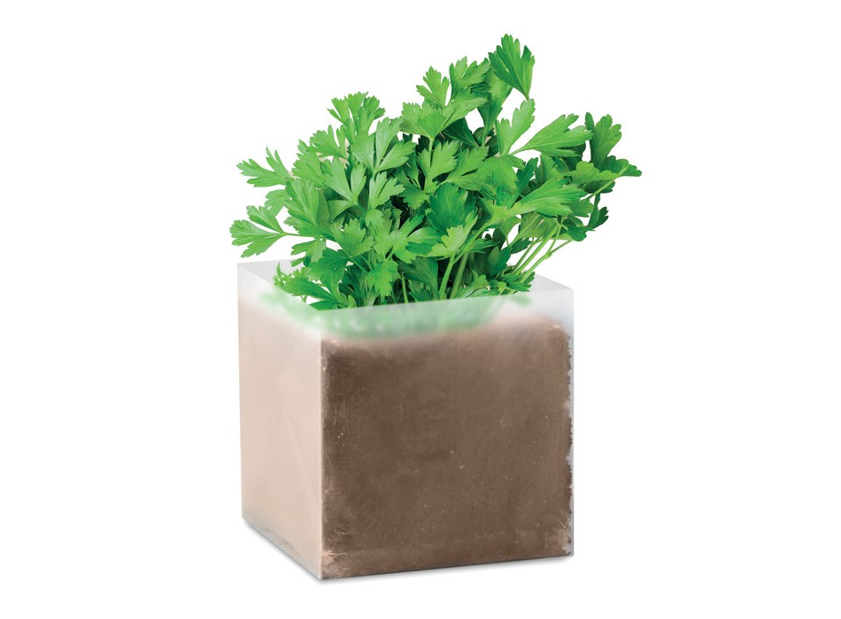 PARSELY - Semi di prezzemolo