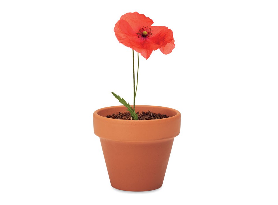 RED POPPY - Semi di papavero