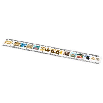 Righello da 30 cm in plastica riciclata Refari