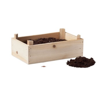 STRAWBERRY - Kit per coltivare fragole