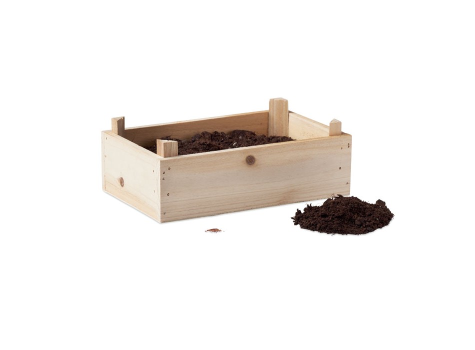 STRAWBERRY - Kit per coltivare fragole