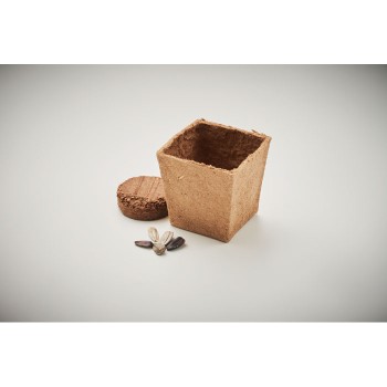 SUNFLOWER KIT - Kit per la coltivazione di semi